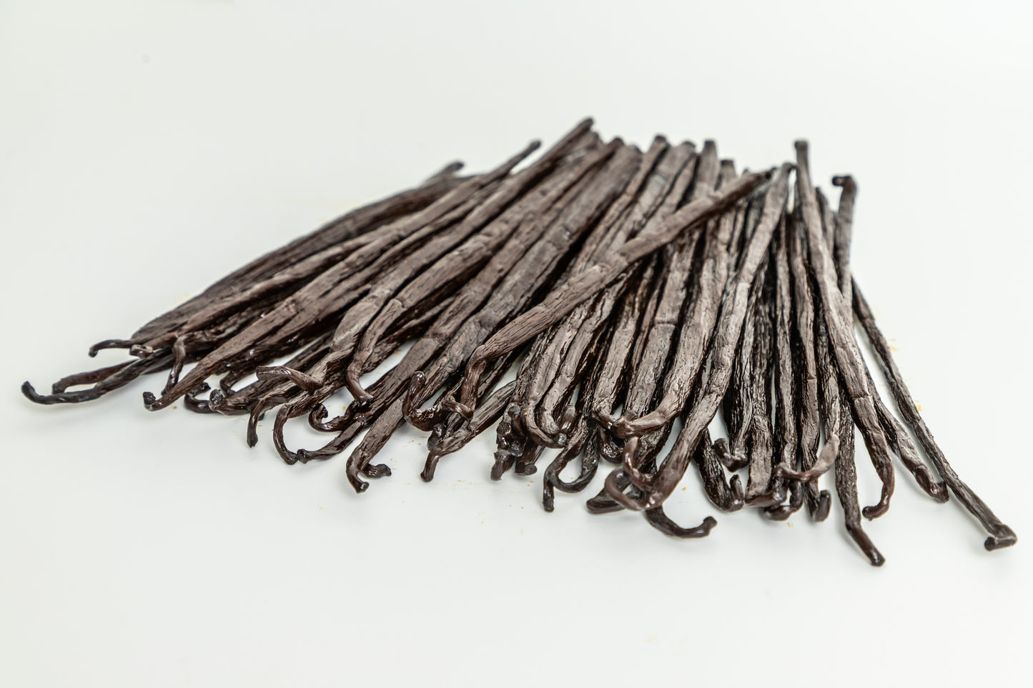 Vainilla Planifolia Gourmet (16cm) | Vainilla Mexicana