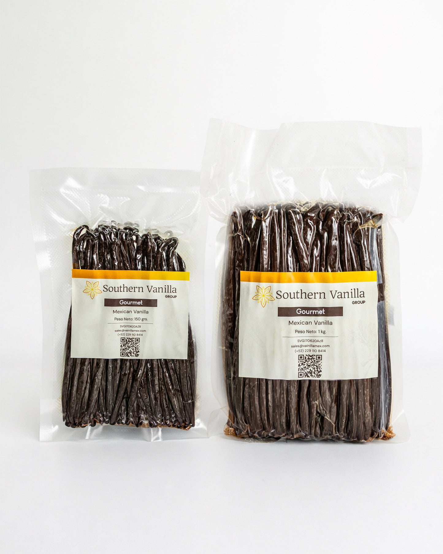 Vainilla Planifolia Gourmet (17-19cm) | Vainilla Mexicana